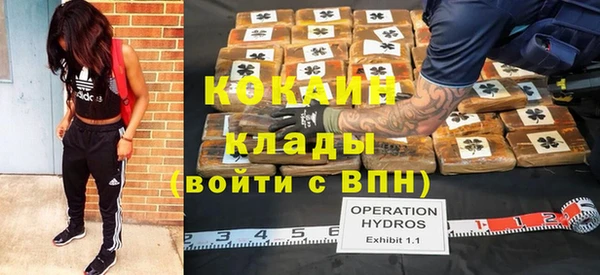 МДПВ Заводоуковск
